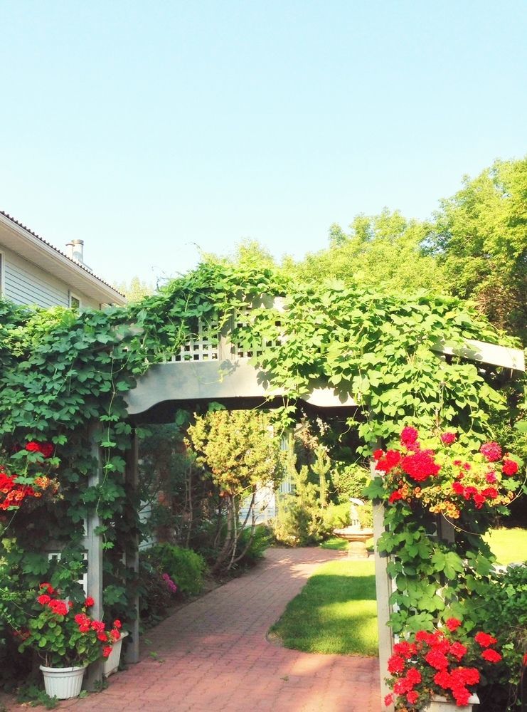 Mcdougall Lane Bed & Breakfast Drumheller Exterior photo